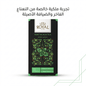 ROYAL MINT BLACK TEA - New Center